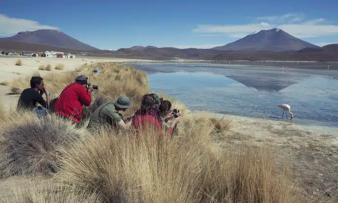 Flamingo hunting Bolivia