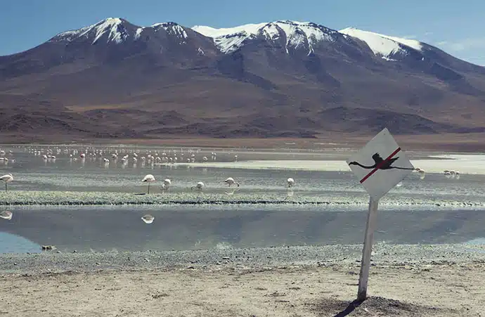 No flying in Salar de Uyuni