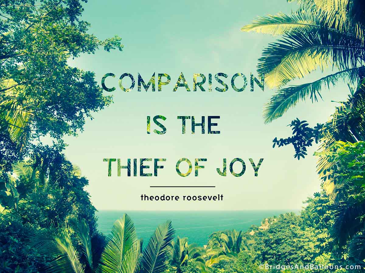 Comparison is the thief of Joy Roosevelt