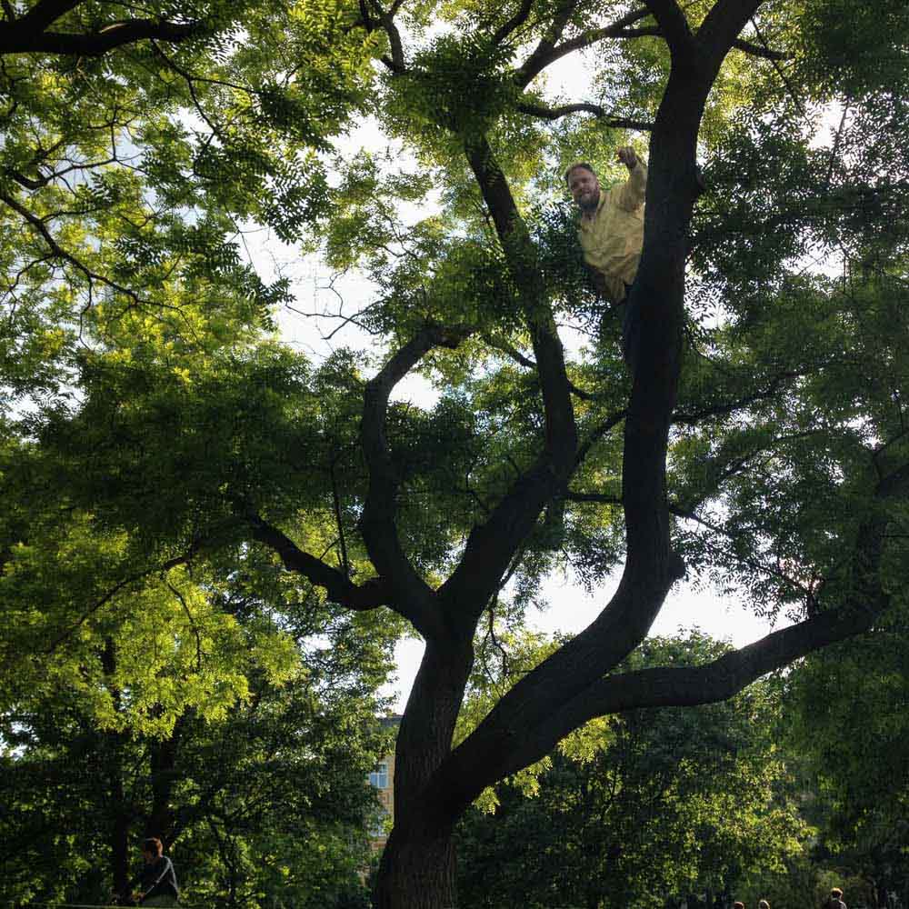 Max stuck in a tree