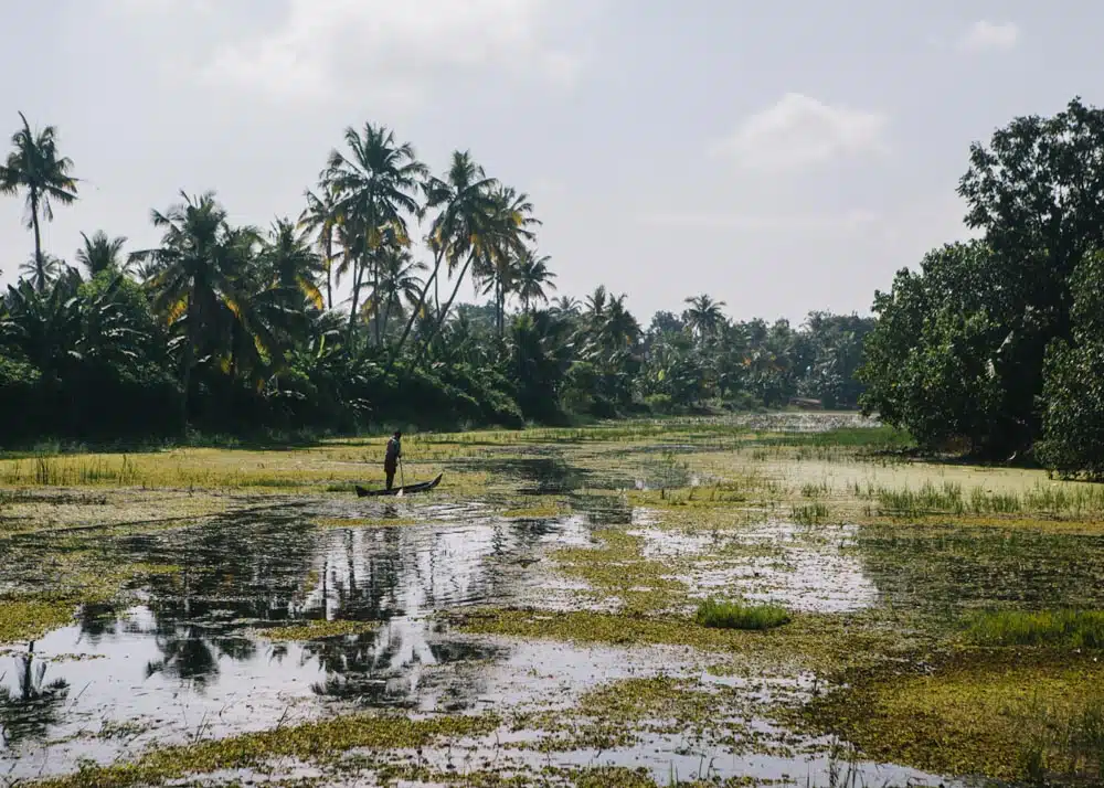 Tips for a Kerala backwaters houseboat trip