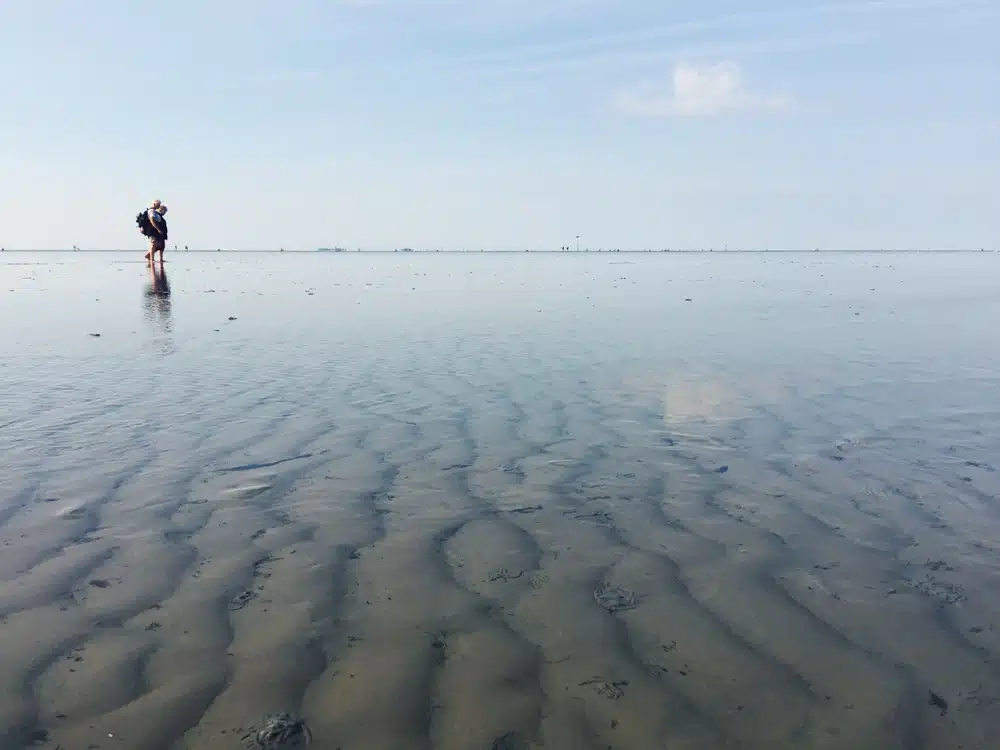 Wadden Sea National Park mud flats