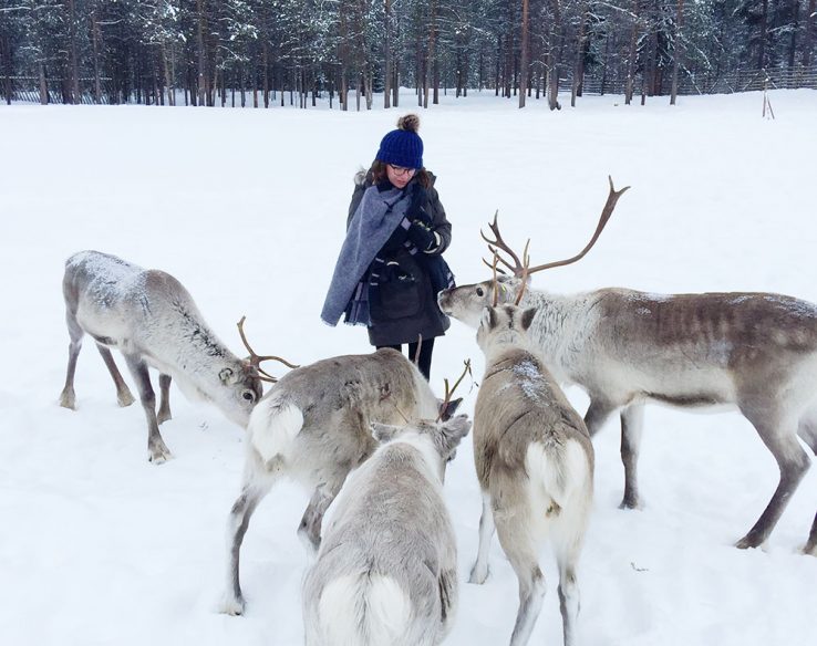 Lapland vacation tips - Jaakola reindeer farm