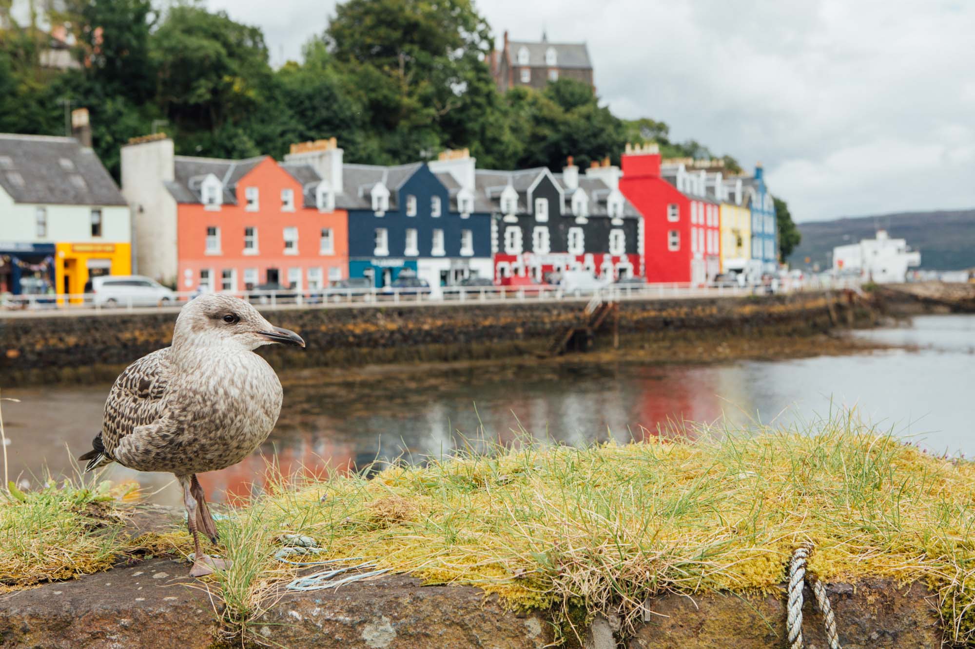 A weekend in Isle of Mull and Oban and Ardlui: Tobermory