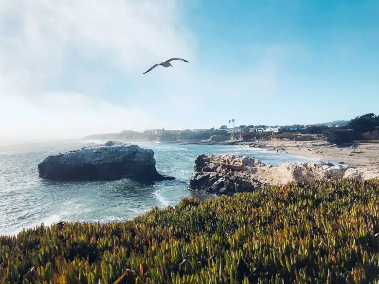 36 MOST FUN Things to Do in Santa Cruz California