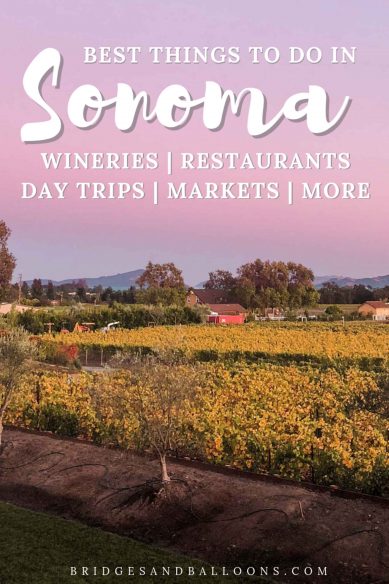 Best things to do in Sonoma County