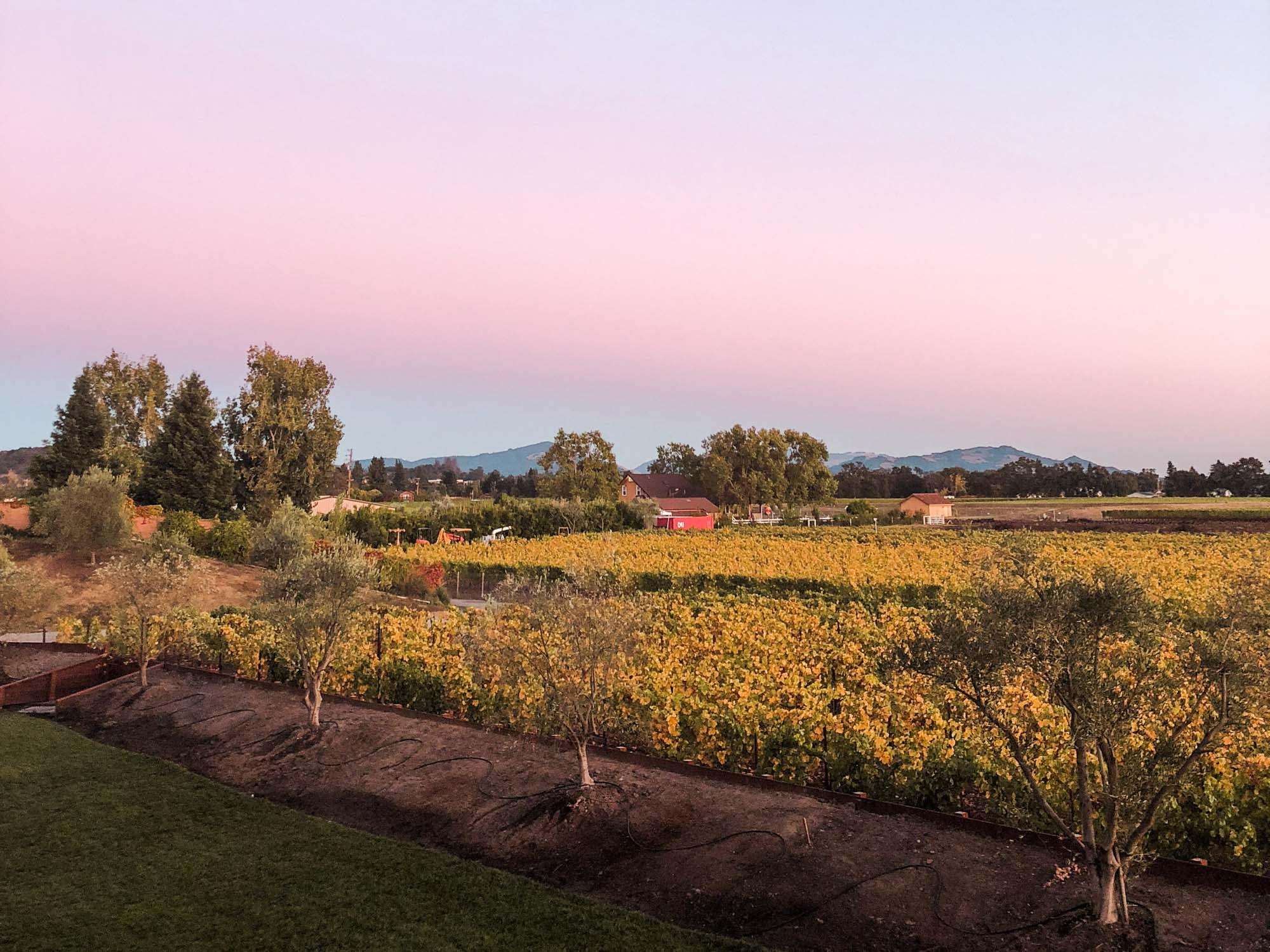 Sonoma Valley Field of Dreams - City of Sonoma