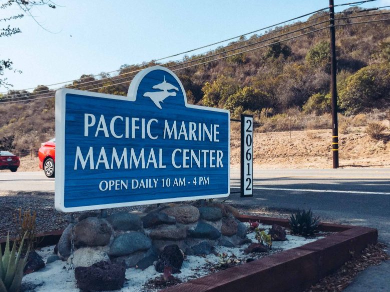 Things to do in Laguna Beach - Pacific Marine Mammal Centre