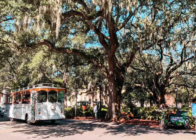 35 Fun Things To Do In Savannah Georgia