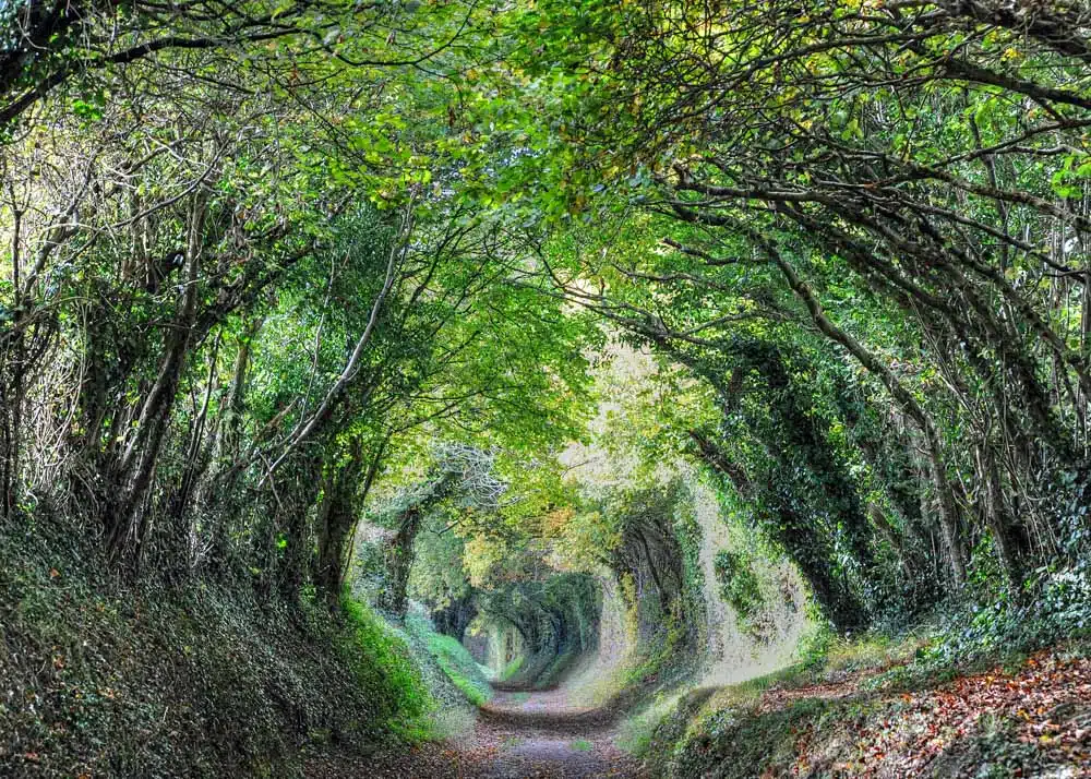 Best Road trips in the UK