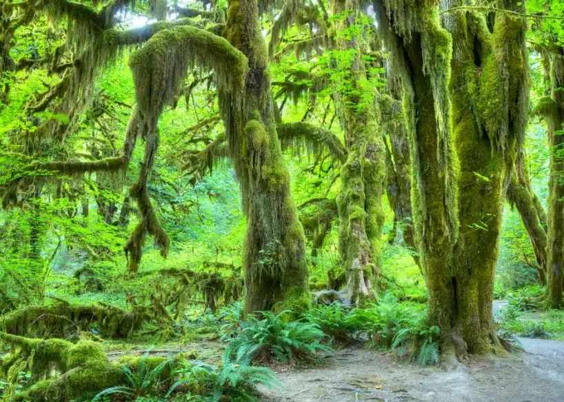 Best US Road Trips: Olympic Peninsula Loop