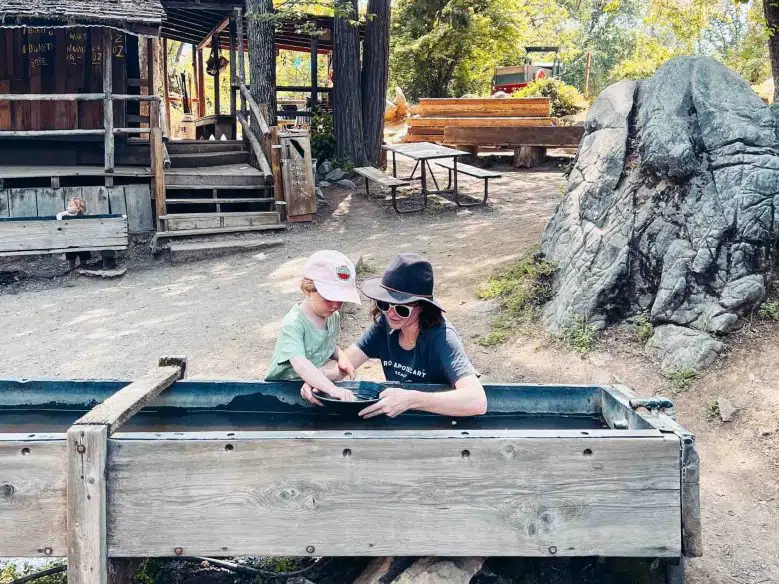 Panning for gold in Columbia State Historic Park