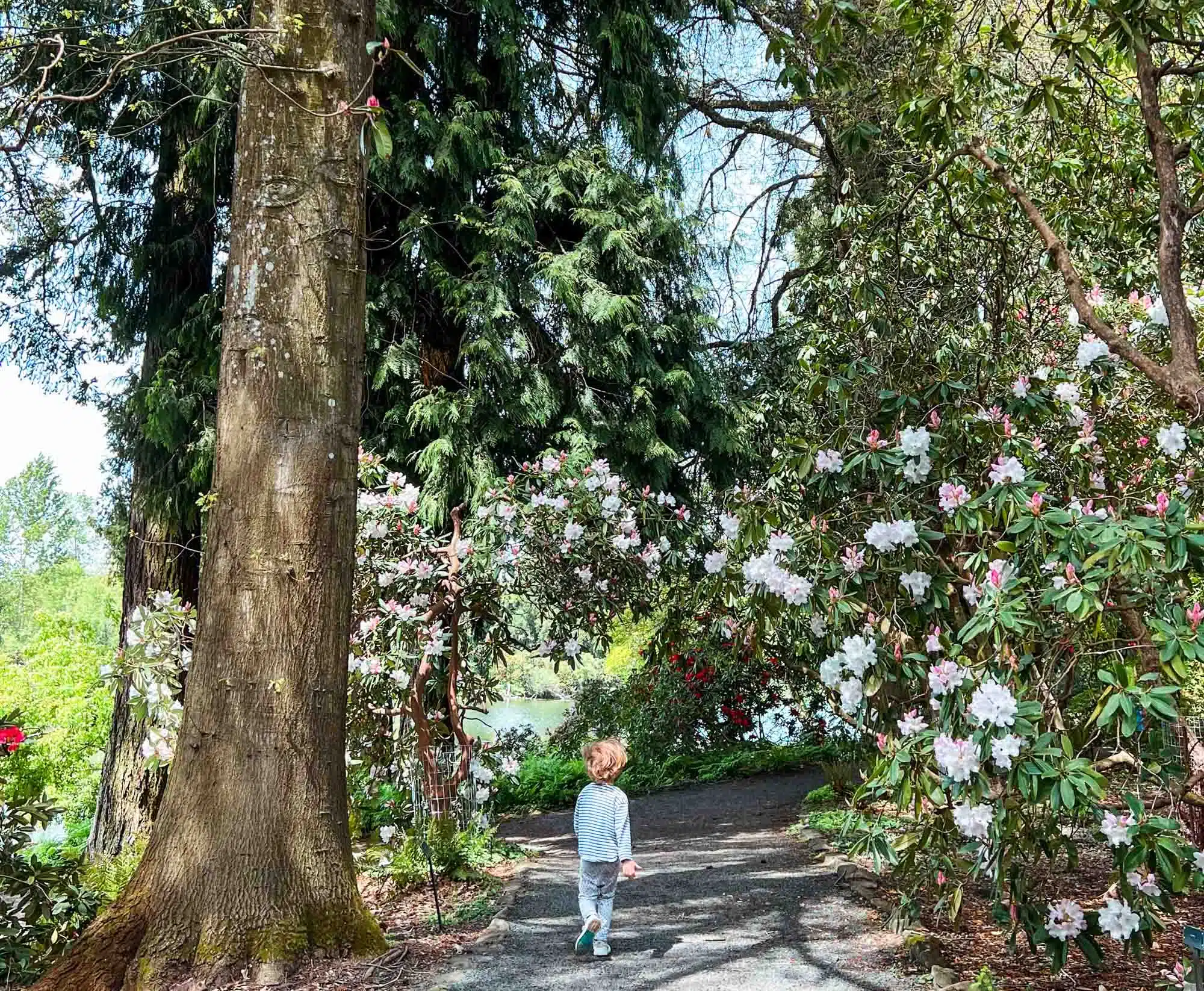 31 Unmissable Things to Do with Kids in Portland (OR)