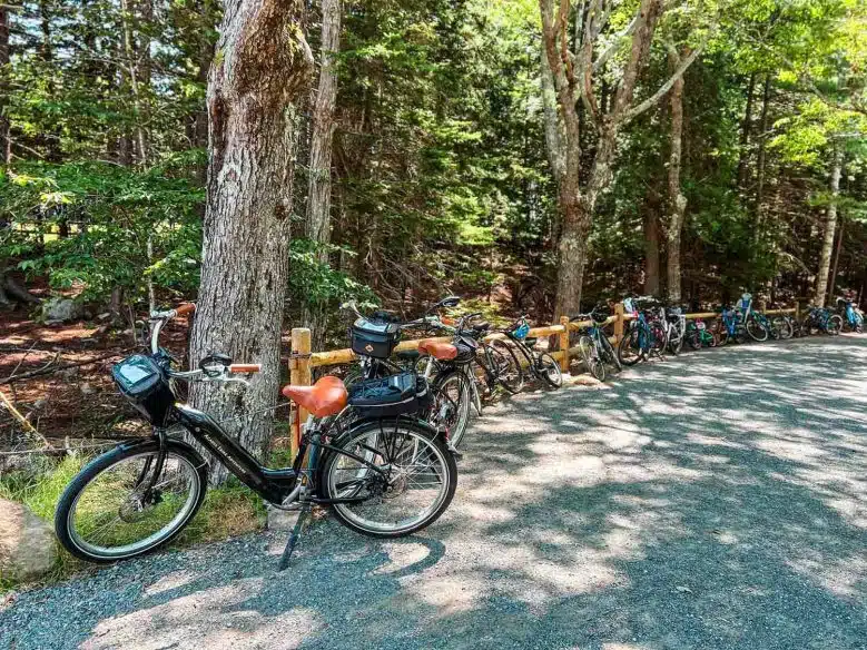 Bikes in Carriage roads at Acadia National Park