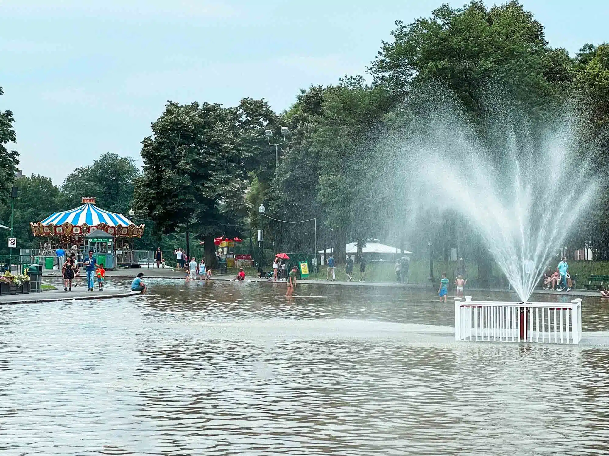 Frog Pond in Boston