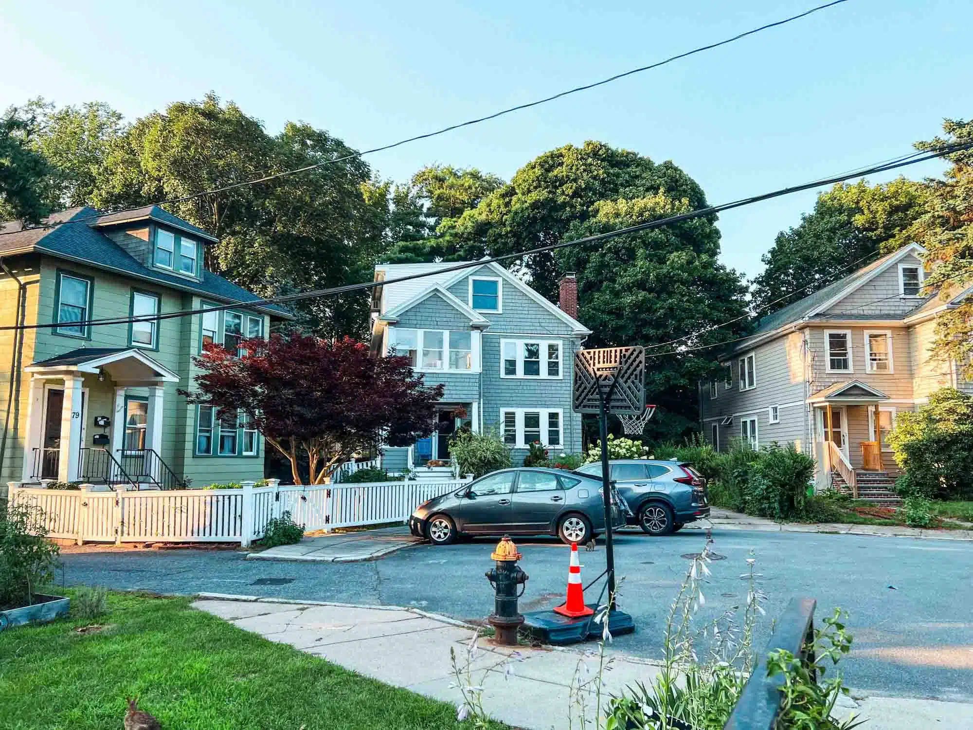 Houses at Jamaica Plain