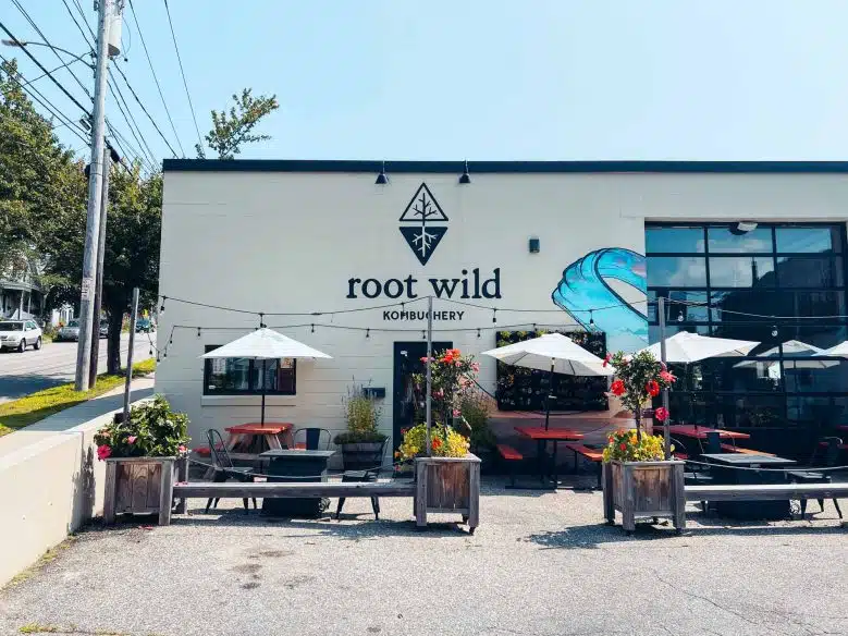 Root Wild Kombuchery Portland