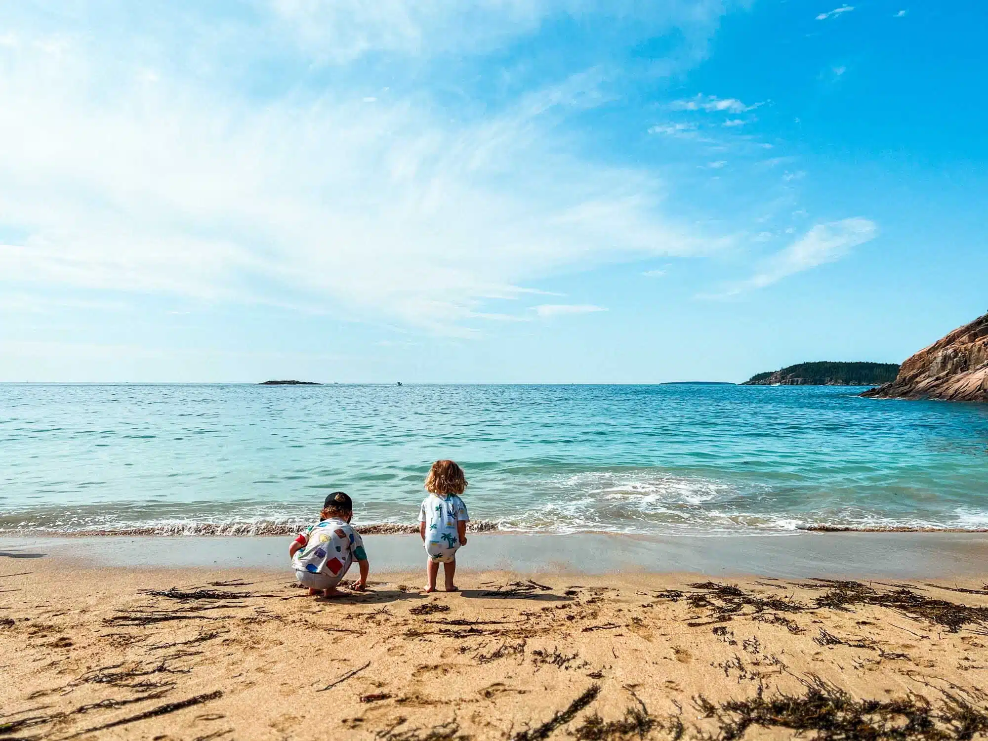 Ottis and Arlo playing in the sand at Sand Beach Acadia