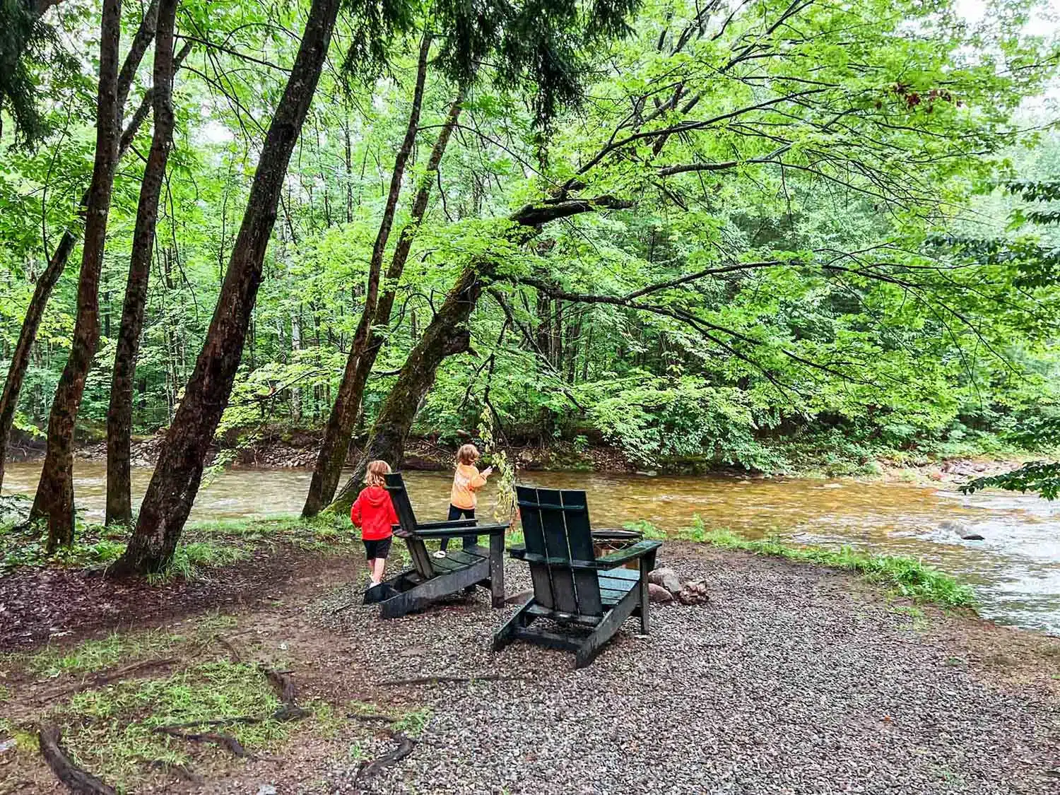 By the brook at Lumen Nature Retreat