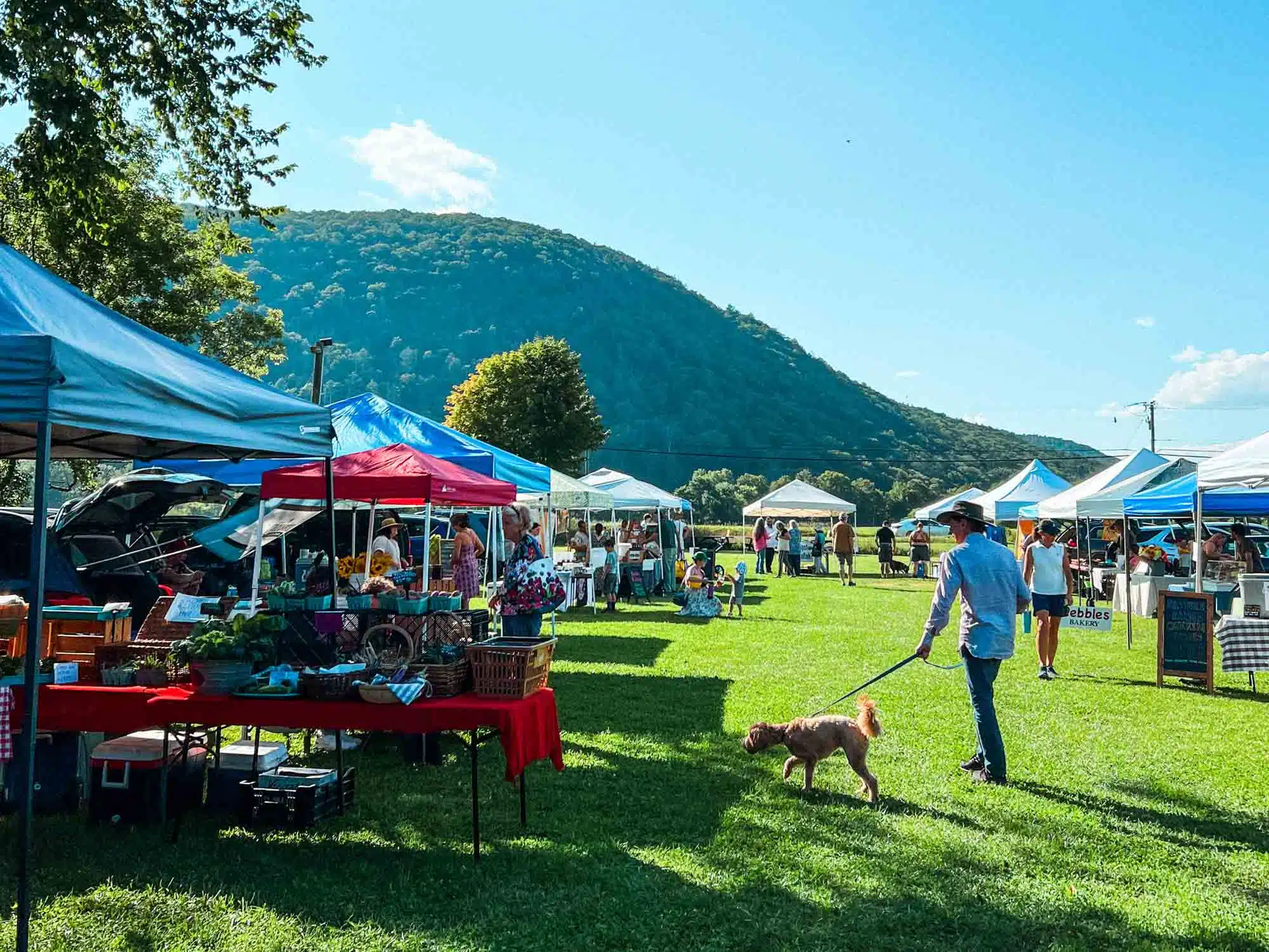 Farmers Market in Kent CT