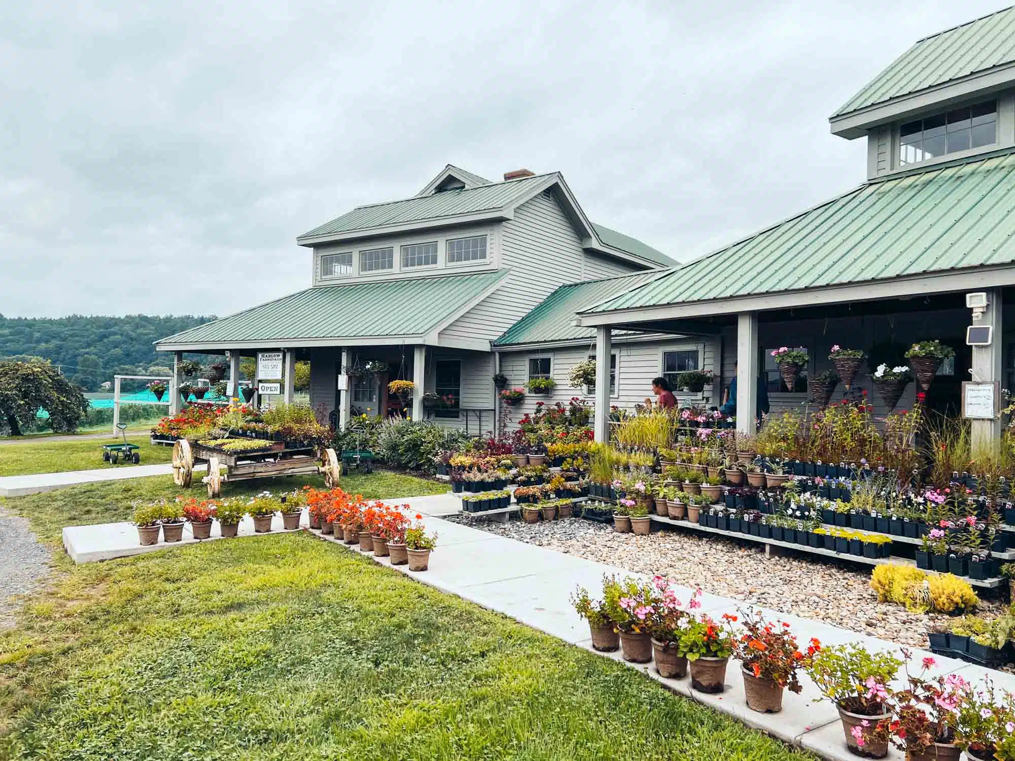 Harlow Farmstand.