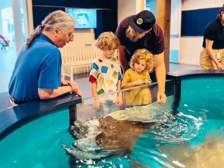 Arlo and Otis touching stingrays at Maritime Aquarium Norwalk.
