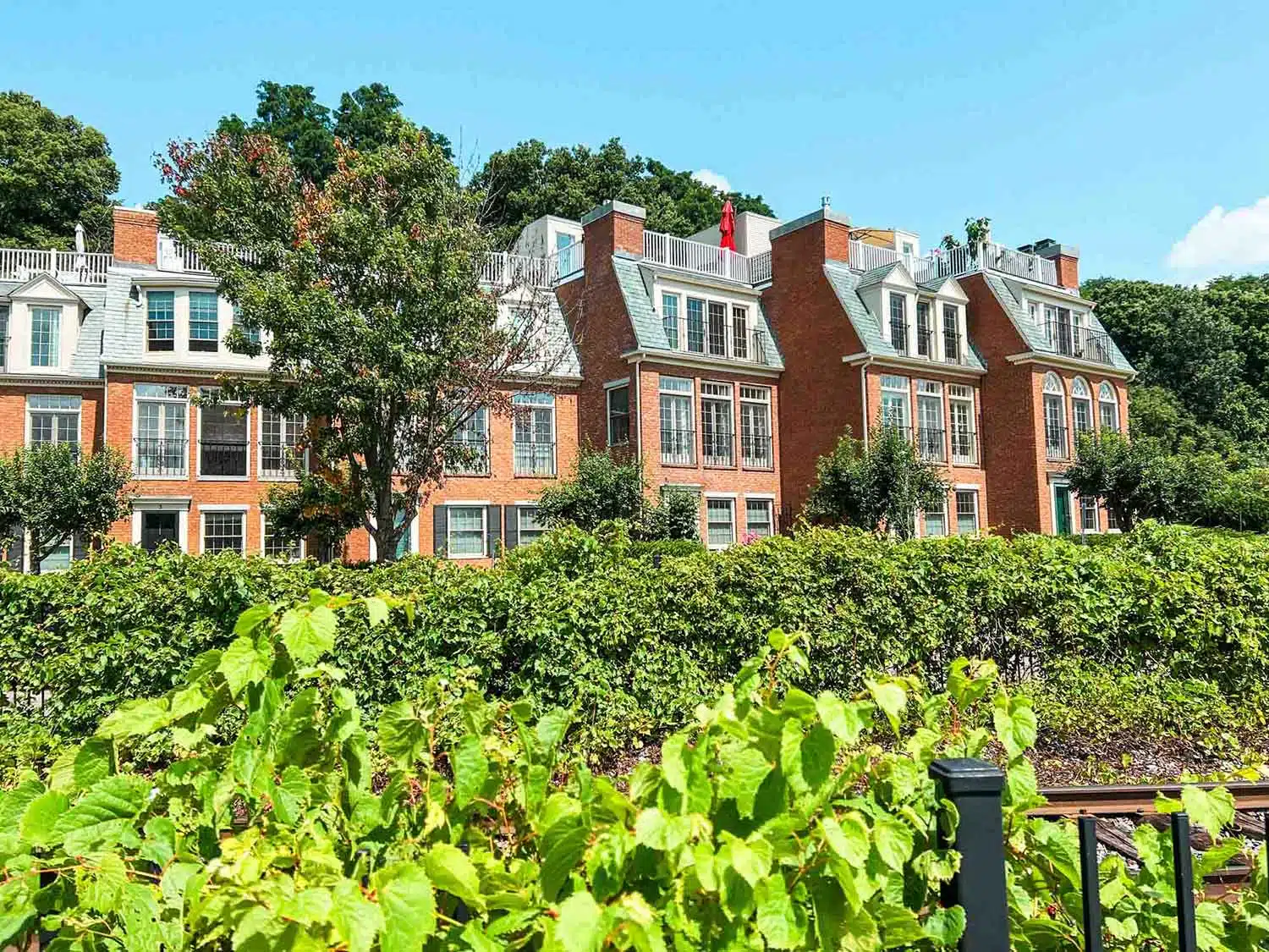 Beautiful buildings at Waterfront Park Burlington