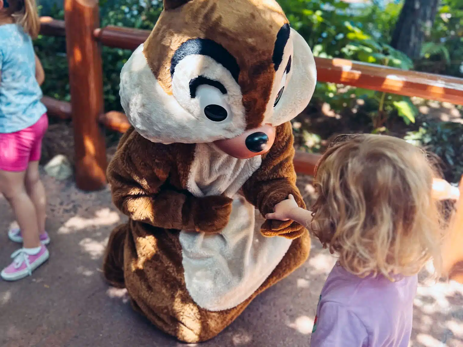 Meeting Chip and Dale.