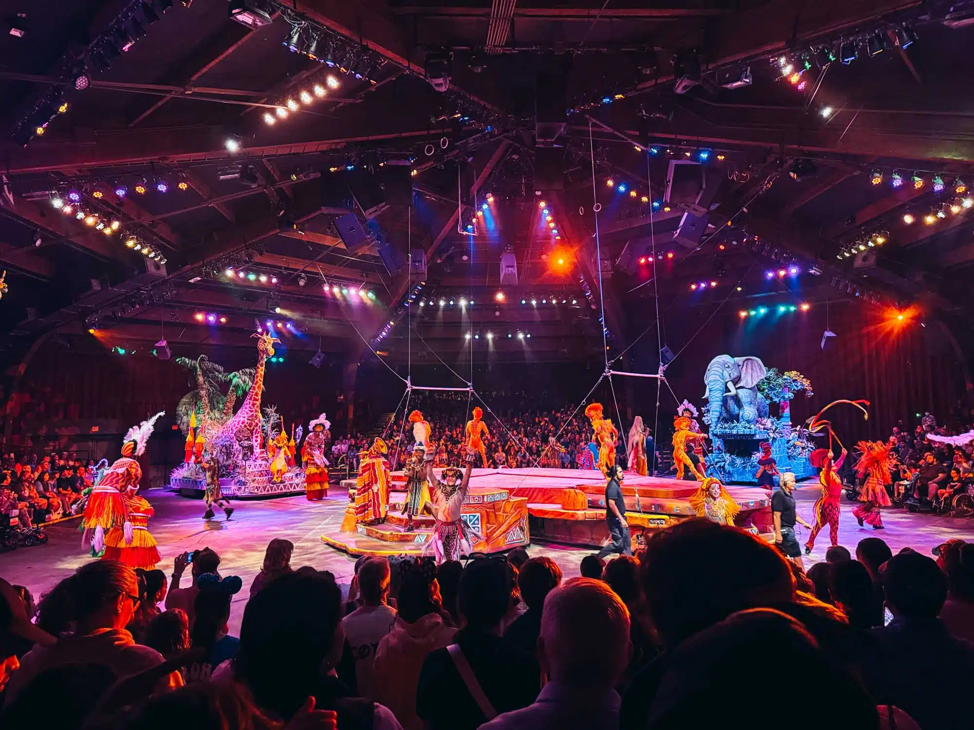 Lion King Show Animal Kingdom.