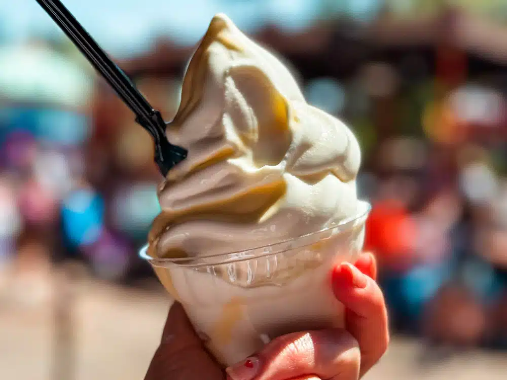 Dole Whip at Disney World.