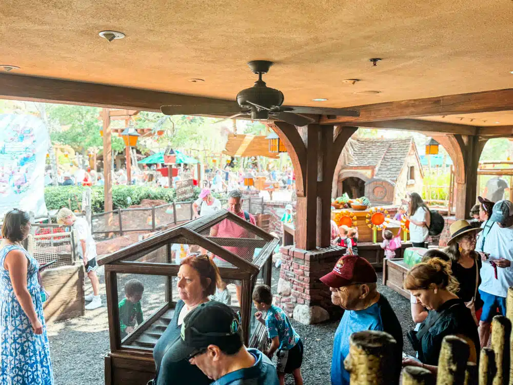 Winnie the Pooh queue at Disney World.