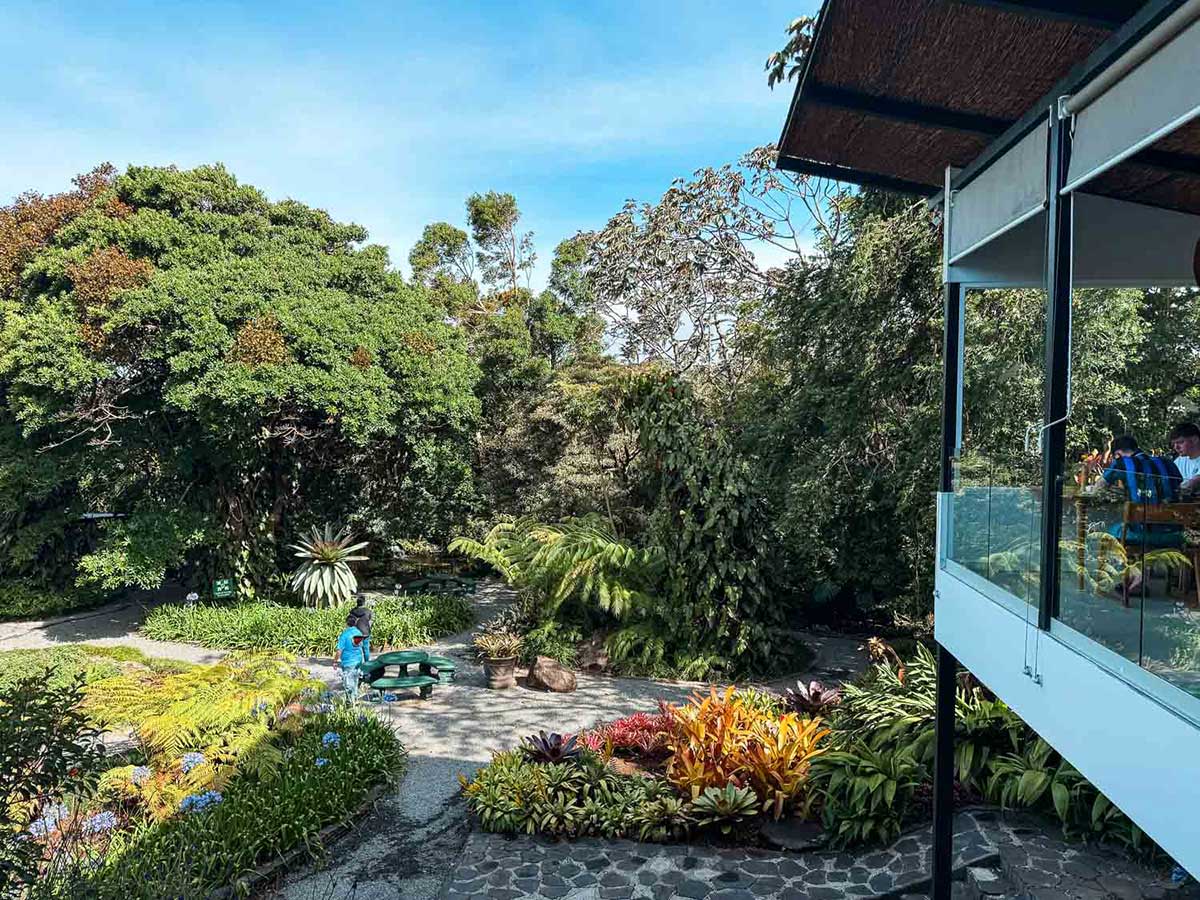 Gardens at Monteverde Lodge in Costa Rica.