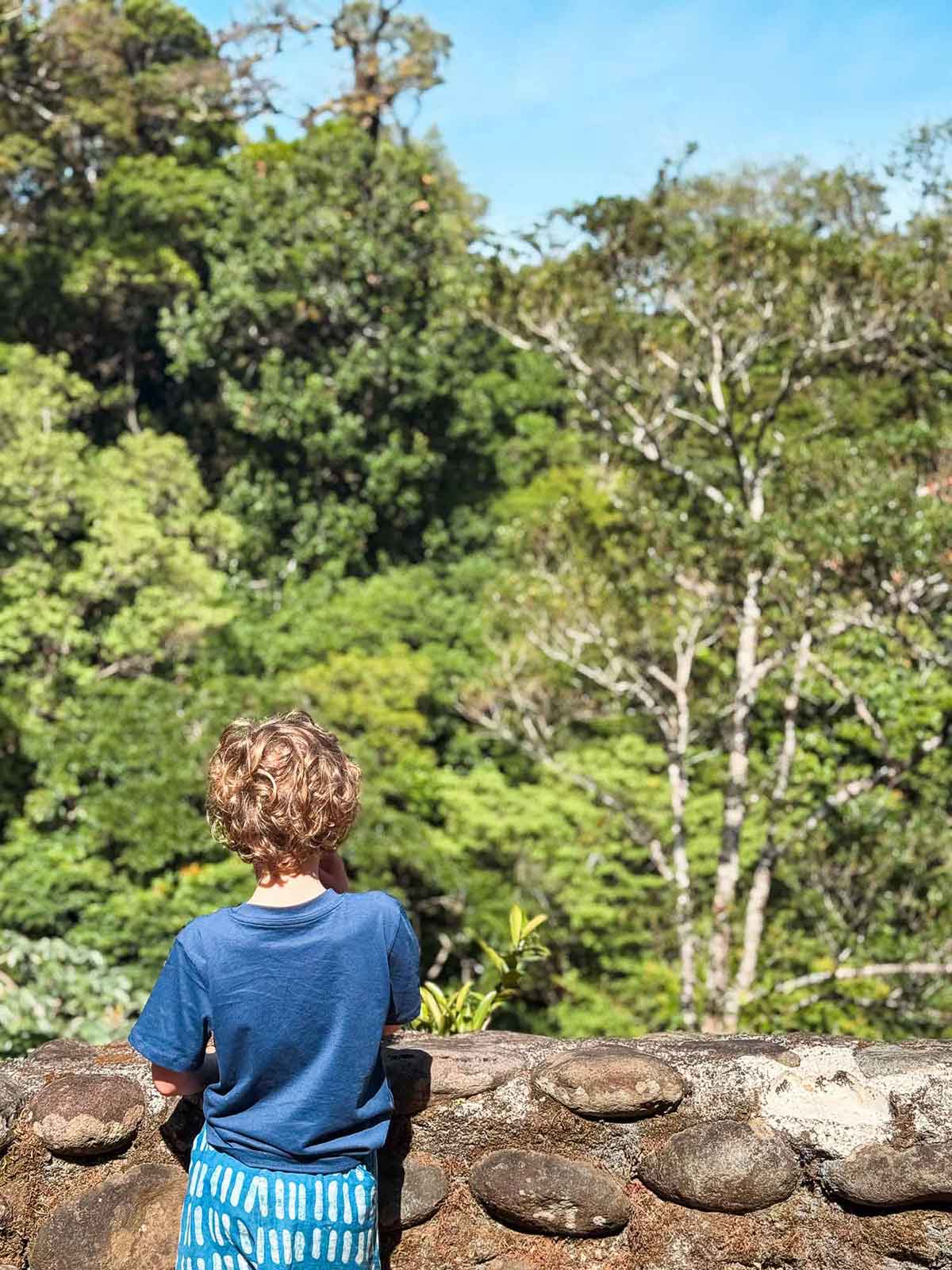 Enjoying the views from Monteverde Lodge.