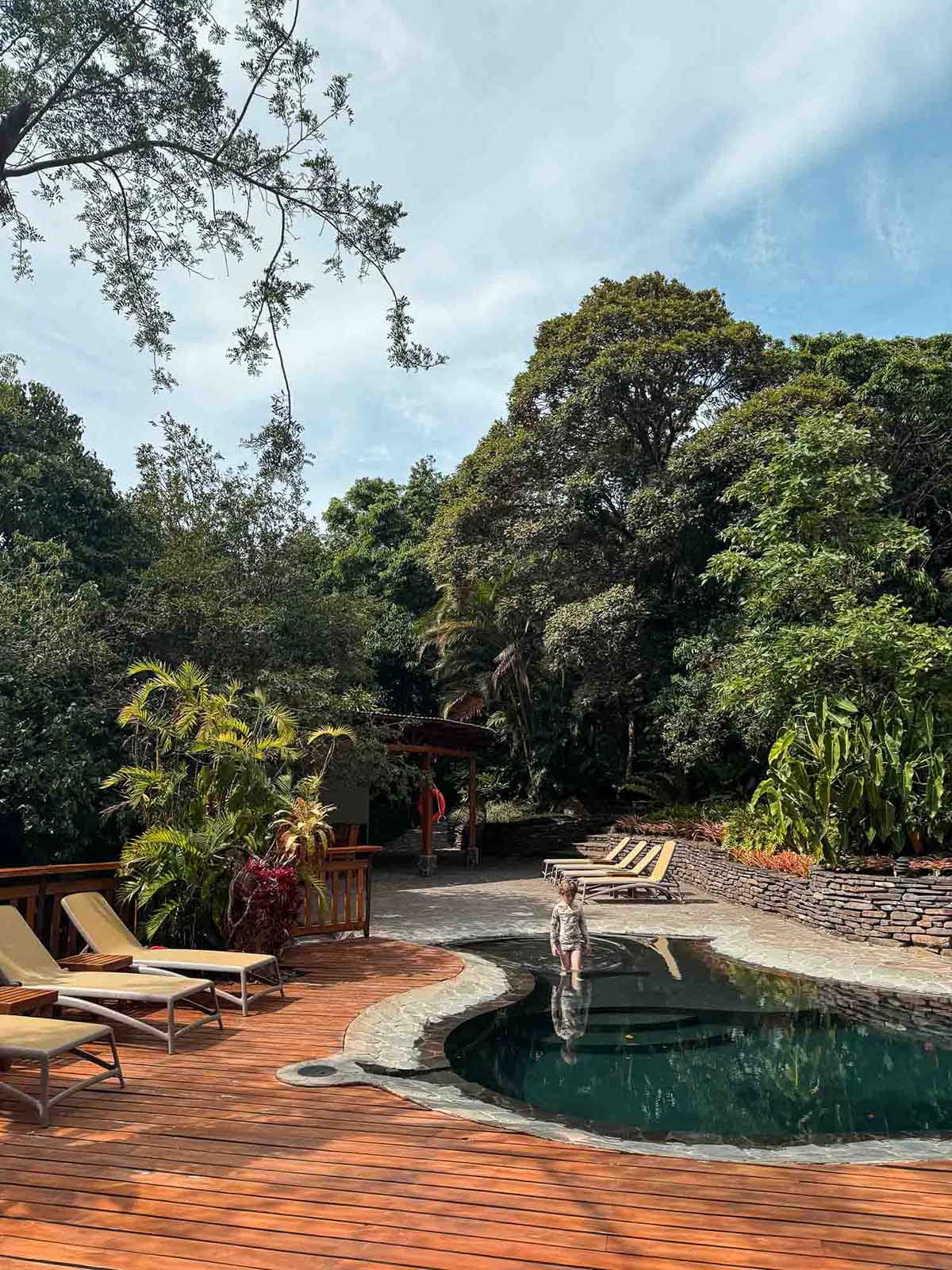 Pool at Monteverde Lodge.