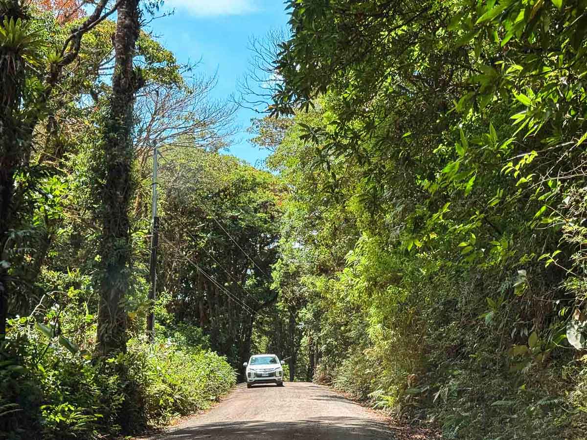 Monteverde road.