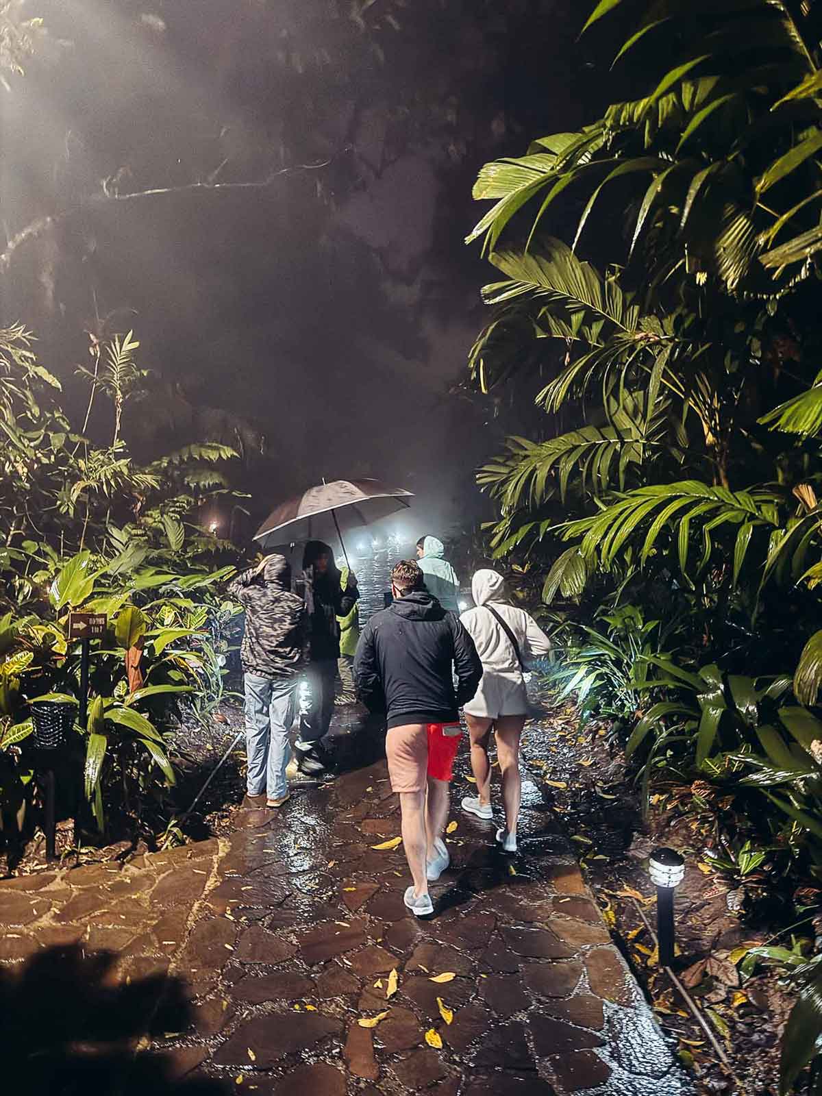 Nightwalk at Hideaway Rio Celeste.