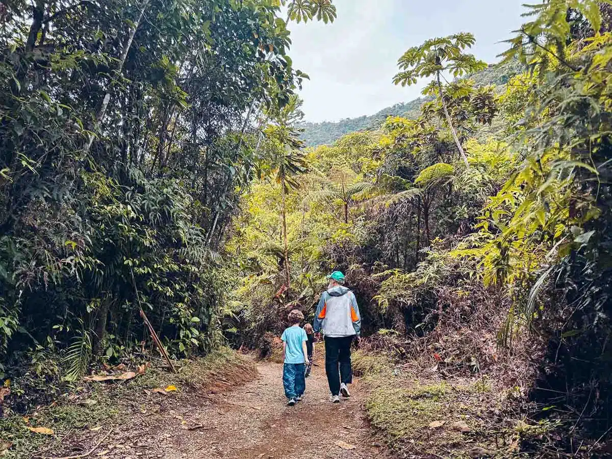 Trail to Rio Celeste Waterfall.