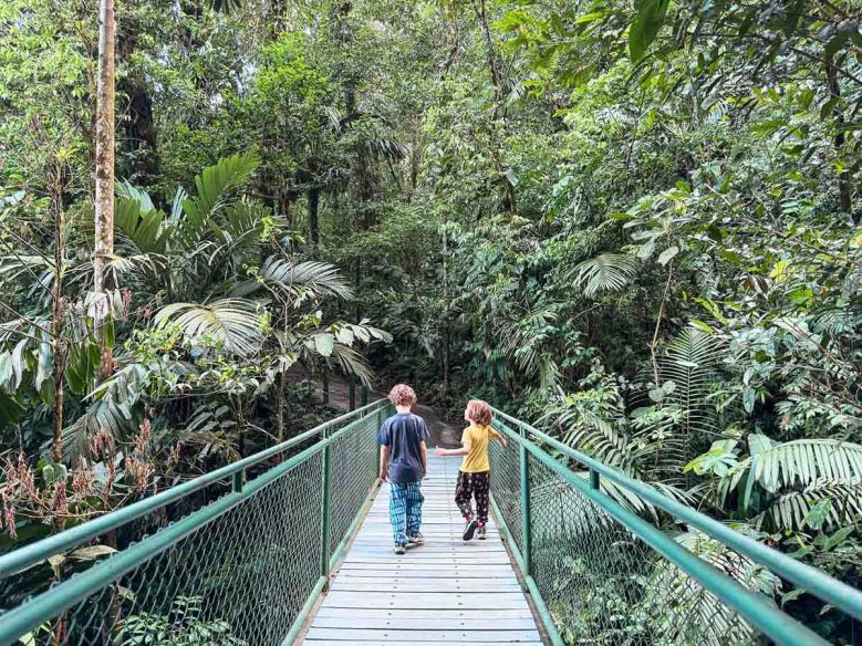 Kids walking in Mistico Park.