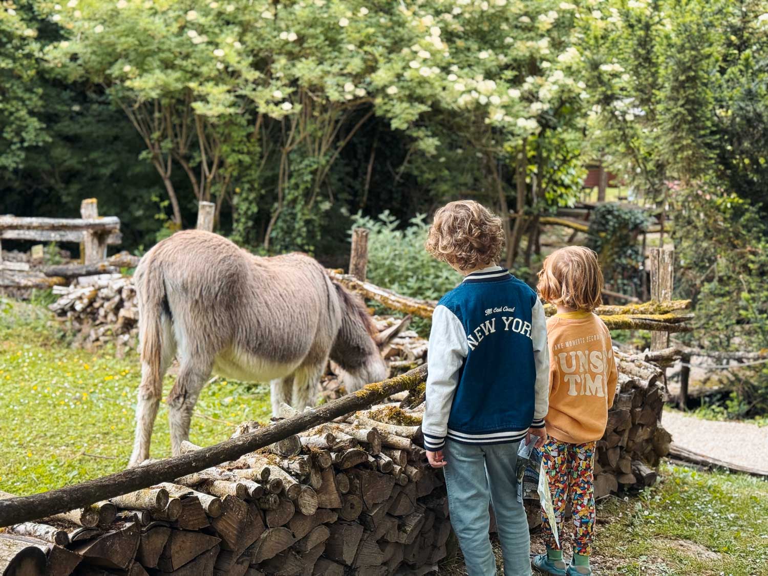 Kids at Goupillieres in Loire Valley.