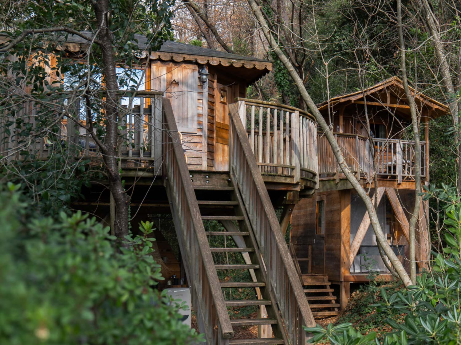 Orion treehouse.