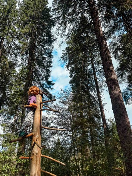Feldberg childrens walk