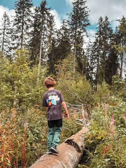 Feldberg childrens walk