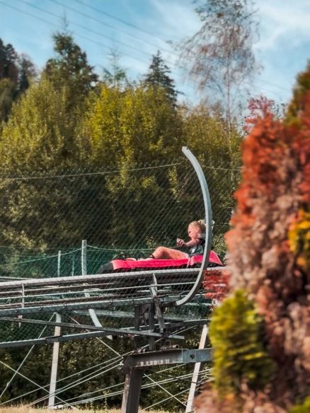 Summer toboggan run Black forest